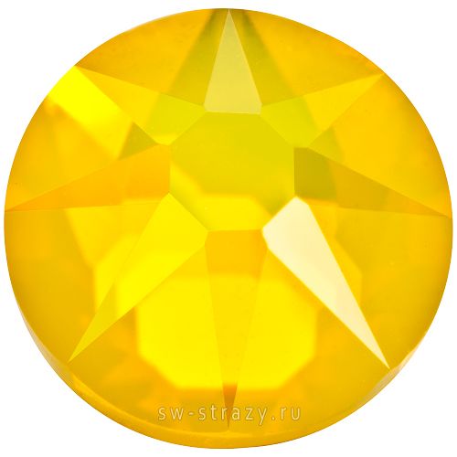 2088 ss 16 Yellow Opal F