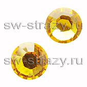 2058 ss 5 Sunflower F