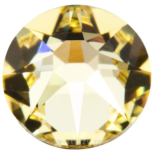 2058 ss 7 Jonquil F